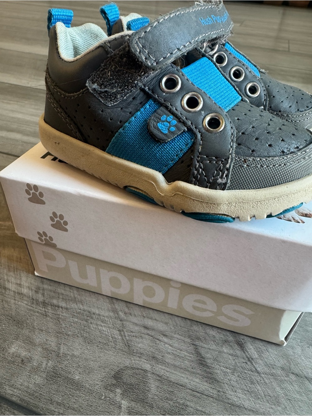 Hush Puppies Kids Gray and Blue Velcro Sneakers